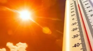 الأرصاد تنذر من شبورة مائية كثيفة على القاهرة والطرق السريعة صباح اليوم الإثنين